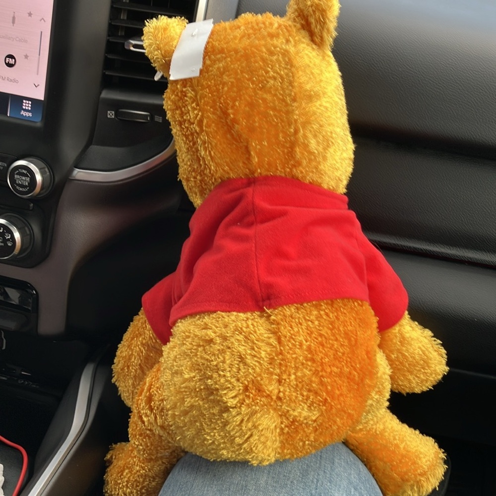 Vintage‎ Pooh Plush Toy - Picture 4 of 5